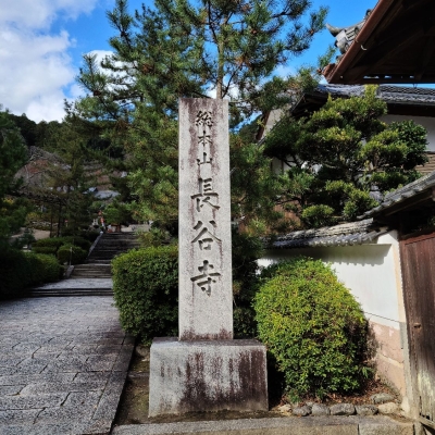 ツアー