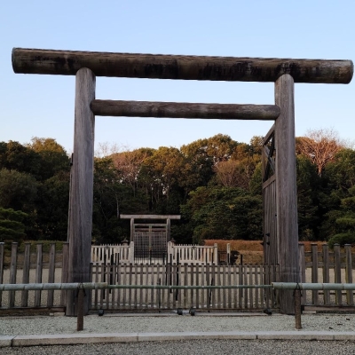 ツアー