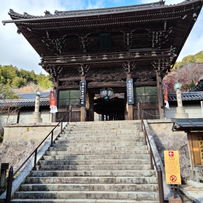 ツアー